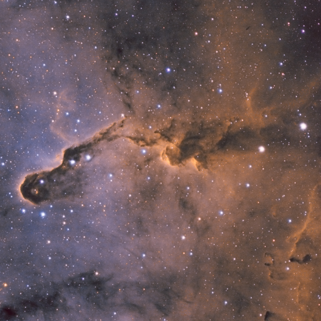 IC1396